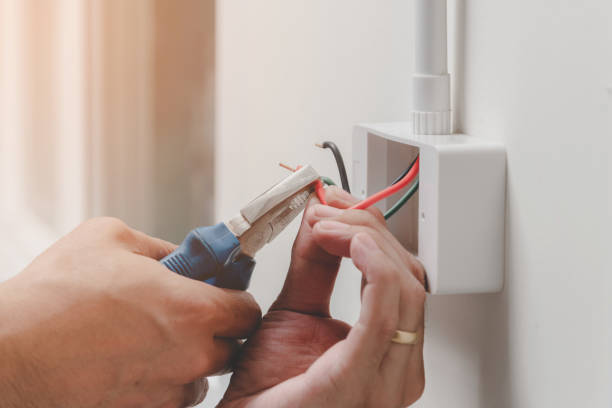 Best Smoke and Carbon Monoxide Detector Installation  in Chelsea, MI